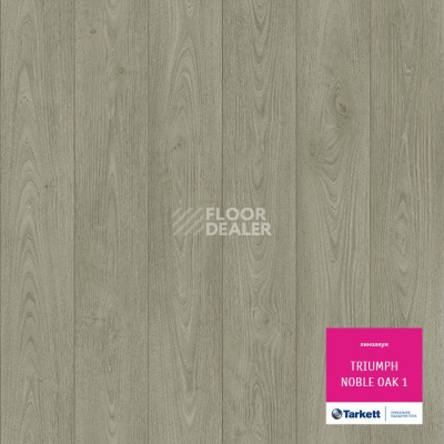 Линолеум Tarkett Triumph NOBLE OAK 1 фото 1 | FLOORDEALER